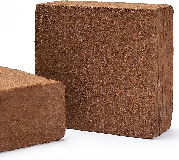 Mycelium Organic Coco Coir Brick 10lbs - Perfect for Potting & Planting, OMRI Certified, Eco-Friendly Soil Mix, Ideal for Indoor Plants, Orchids, Succulents, Cacti and Vegetable Gardening