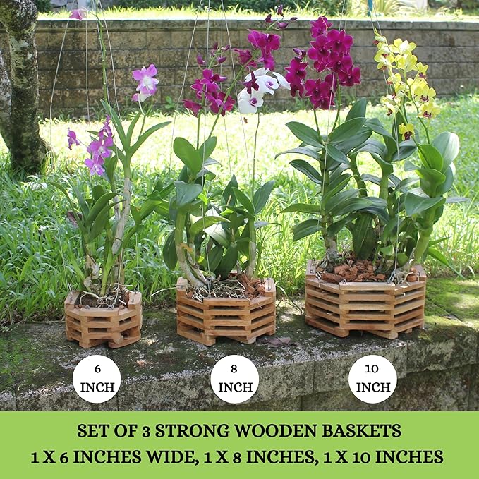 3 Wooden Octagon Shaped Orchid Baskets with Hangers. Rustic Handmade Vanda Baskets, Hanging Boxes