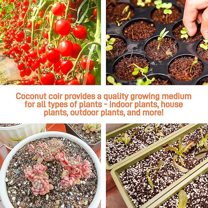 3-Pack Coco Coir Bricks, Premium Organic Peat Moss Mix for Plants, Low EC & pH Balance, Fiber Coconut Husk. Ideal for Gardening, Potting Soil & Substrate