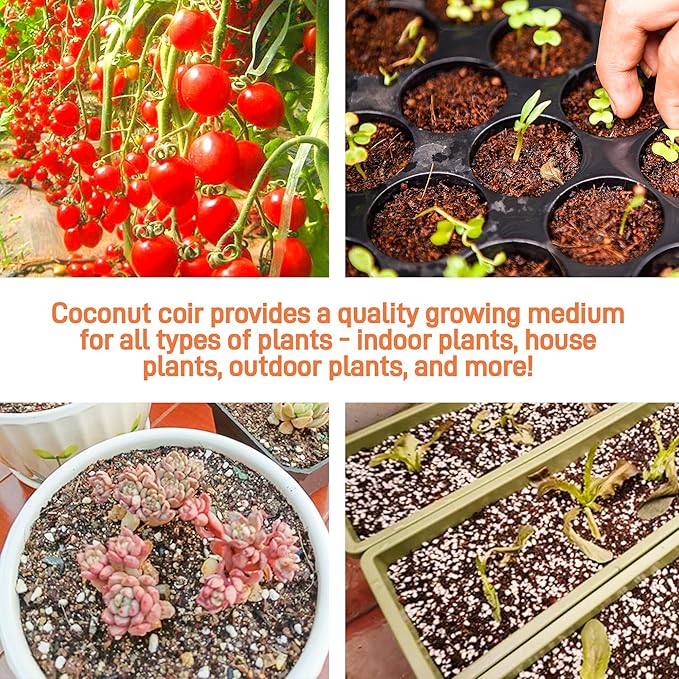 9-Pack Premium Organic Coco Coir Bricks for Plants - Low EC & pH Balance - 100% Natural Peat Moss Mix with Coconut Husk Fiber - Perfect for Gardening, Potting Soil Substrate - 12.6 lbs