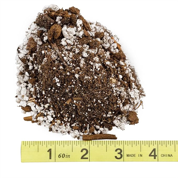 Citrus Tree Potting Soil Mix (8 Quarts), Special Blend for Indoor Oranges, Lemons, Limes and More