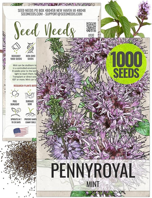 Seed Needs, Pennyroyal Mint Seeds - 1,000 Heirloom Seeds for Planting Mentha pulegium - Medicinal Herb Non-GMO & Untreated for Indoor/Outdoor Gardens (1 Pack)