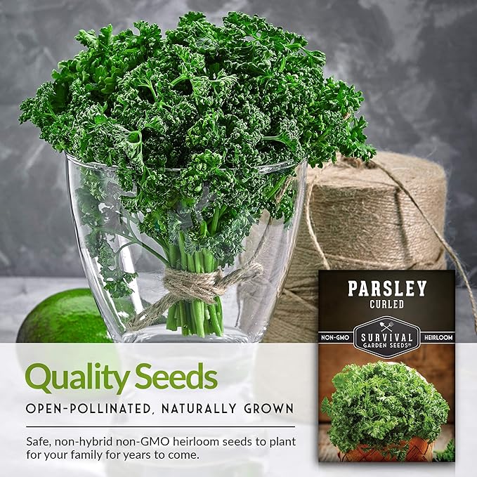 Survival Garden Seeds - Curled Parsley Seed for Planting - 3 Packs with Instructions to Plant and Grow Nutritious Curly Parsley Herb Plants in Your Home Vegetable Garden - Non-GMO Heirloom Variety