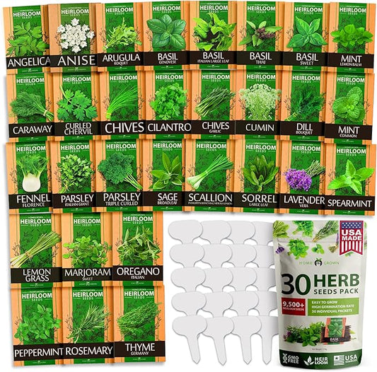 HOME GROWN 30 Herb Seeds Pack | 9,500 Non-GMO, Heirloom Seeds | Indoor & Outdoor Planting | Culinary Herb Seeds Variety Pack | HG30H Perfect for Hydroponic Gardens | Parsley, Rosemary, Thyme & More