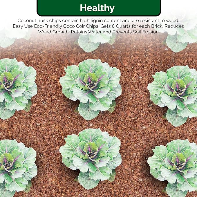 UBICON Easy Use Coco Coir Organic Top Soil for Indoor/Outdoor Plants; 4 Bricks Expands to 10 Gallons, Excellent Aeration, Reduces Weed Growth, and Retains Water (4)