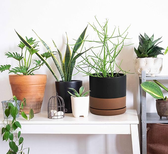 D'vine Dev Set of 2 Plants Pots, 6 Inch Ceramic Planter Pot for Plants with Drainage Hole and Saucer, Black/Speckled Tan, 94-V-C-7