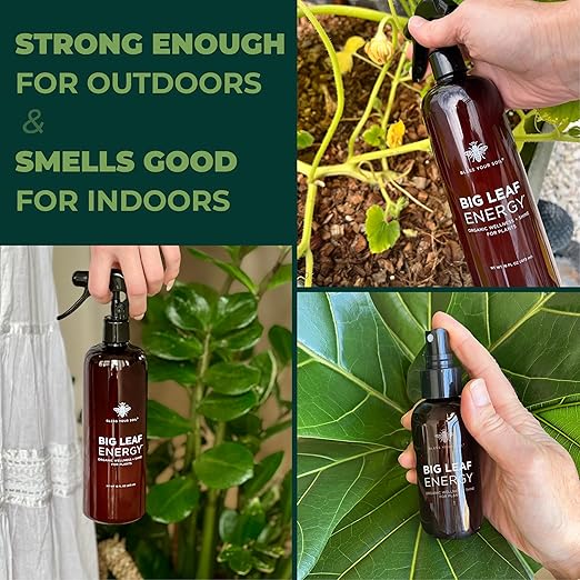 Big Leaf Energy : 4 OZ Trial Size : Ready-to-Use Spray for Plant Wellness : Organic Leaf Shine and Bio Protectant