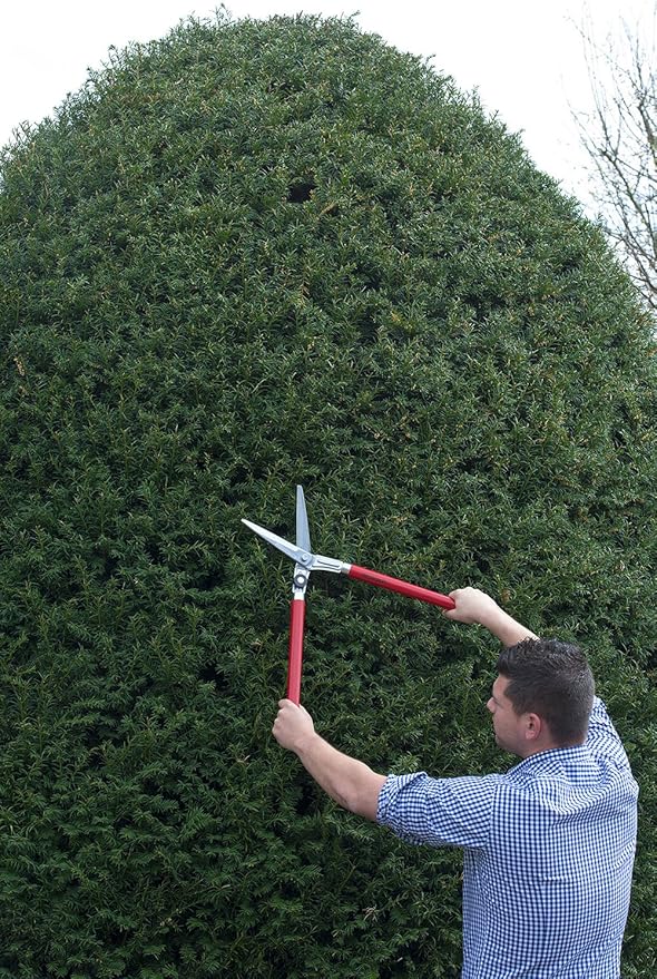 BERGER Boxwood Shears, Self-Sharpening Blade and Beech Wood Handles