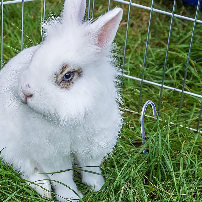 500-Pack Anti-Rust 6 Inch 11 Gauge Round-Top Heavy-Duty U-Shaped Garden Securing Stakes/Spikes/Pins/Pegs - Hot Dipped Galvanized Sod Staples for Anchoring Landscape Fabric