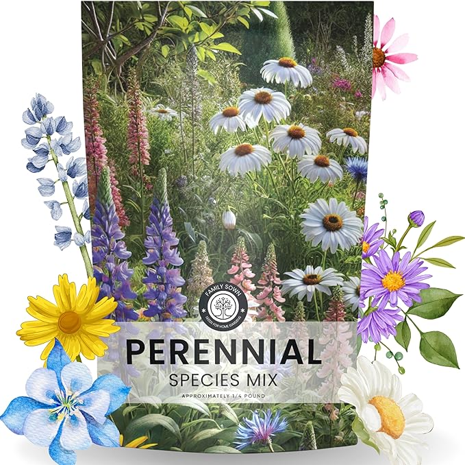 Perennial Species Mix - Bulk 1/4 Pound Pouch - 60,000 Flower Seeds for Planting - Wildflower Mix