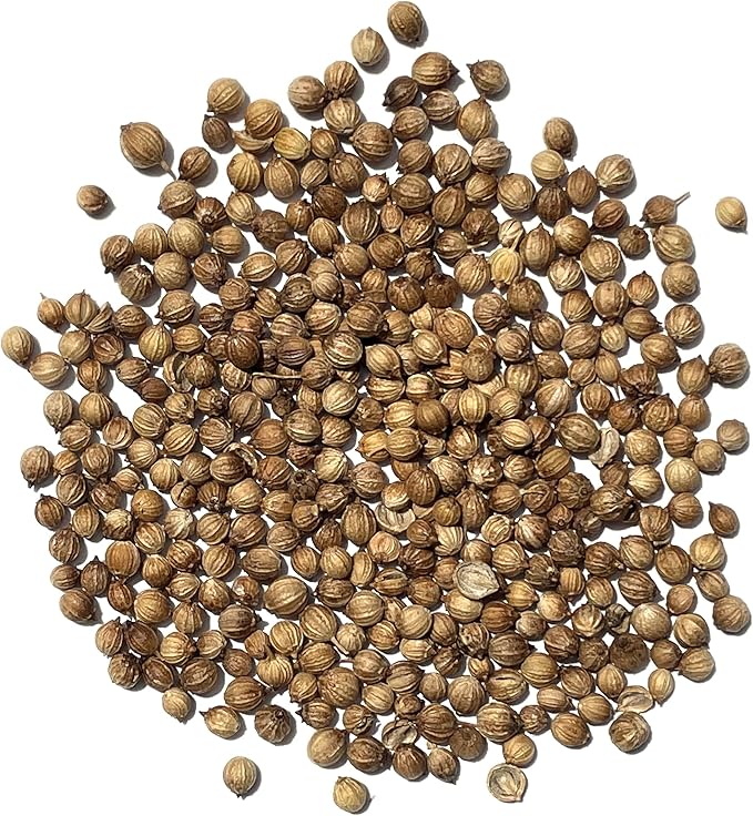 The Old Farmer's Almanac Heirloom Organic Cilantro Seeds (Slow Bolt) - Approx 180 Seeds - Certified Organic, Non-GMO, Open Pollinated, Heirloom, USA Origin