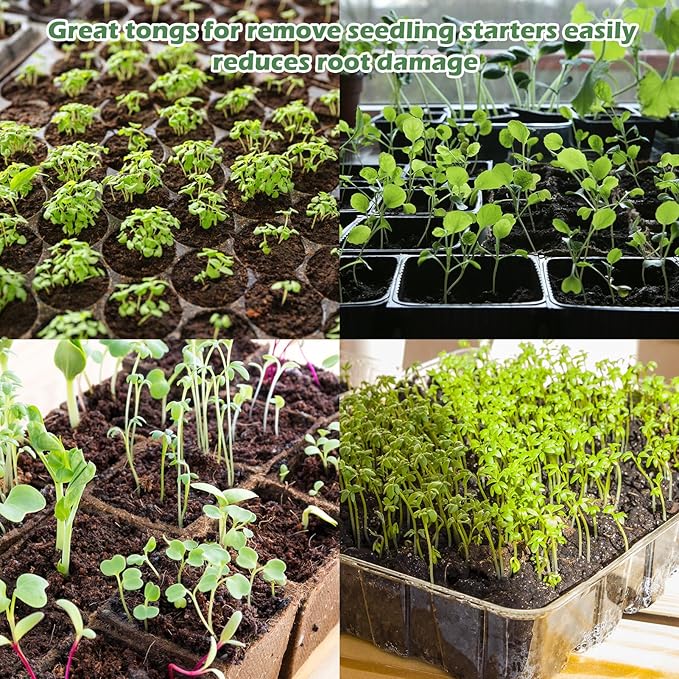 2PCS Seedling Transplant Tongs Stainless Steel Seedling Starters Remove Tongs Seedling Transplanting Tool Seedling Easy Transplanter with Anti-Slip Grasp Tips to Reduce Damage to Roots