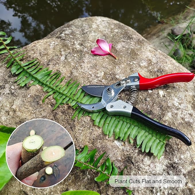 Anvil Pruning Shears [Made in Japan] 8" Sharp Garden Shears for Gardening, Heavy Duty Hedge Trimmers, Garden Clippers, Pruner, Garden Tools Pruning Scissors for Plants, Branch
