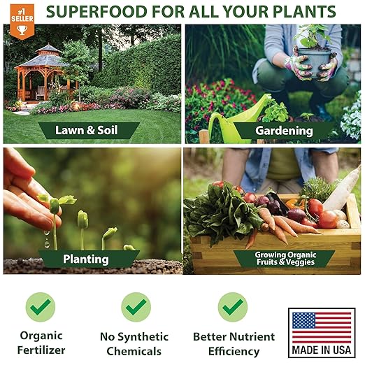 𝐏𝐑𝐎𝐅𝐄𝐒𝐒𝐈𝐎𝐍𝐀𝐋 All-Purpose 20-20-20 Liquid Fertilizer Concentrate for Lawns, Grass, Plants, Vegetables, Fruits & Flowers | 20-20-20 Liquid Fertilizer for Indoor and Outdoor Plants (32 OZ)