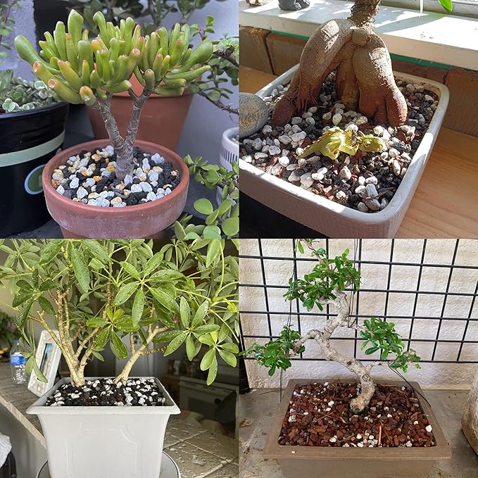 Organic Pumice for Bonsai and Horticultural 100% Natural (5 gallons, 1/2 inch)