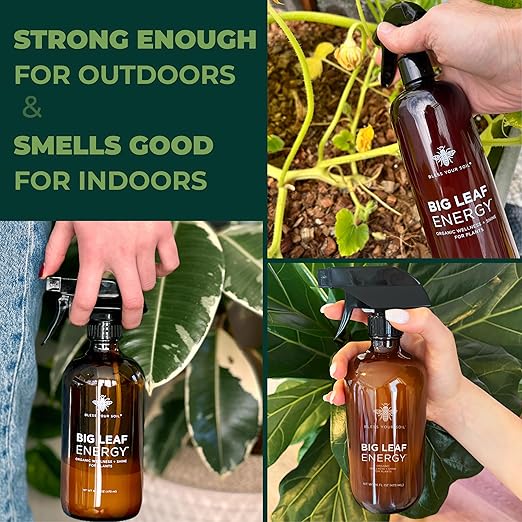 Big Leaf Energy : RTU Wellness Spray for Indoor Plants : Organic Neem Oil + Essential Oils (16OZ, Glass Bottle)