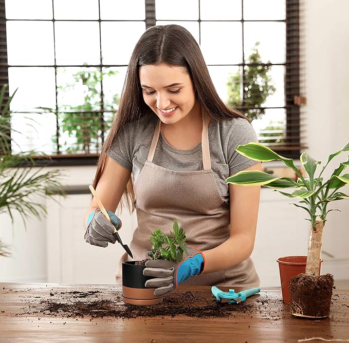 D'vine Dev Ceramic Planter Pot with Drainage Hole and Saucer, Indoor Cylinder Round Flower Pot, 4.6 Inch, Black/Speckled Tan, 94-O-B-7