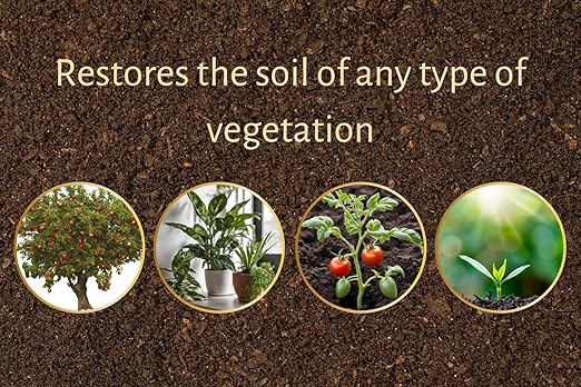 Worm Castings Tea Plant Juice with Bat and Seabird Guanos. Soil Candy, Quart with Added Kelp and Feather Meals and Humic Acid. Soil Restorer - Plant Fertilizer - Compost Starter