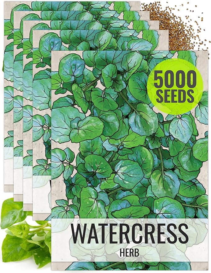 Seed Needs Watercress Seeds for Planting - Non-GMO, Heirloom & Untreated - Organically Grow Your own Culinary Herb Garden Indoors or Outdoors (5 Packs)
