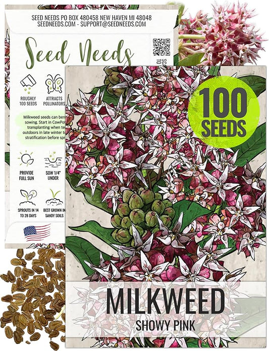 Seed Needs Showy Milkweed Seeds for Planting - Untreated & Open Pollinated, Attracts Monarch Butterflies in a Butterfly Garden (1 Pack)