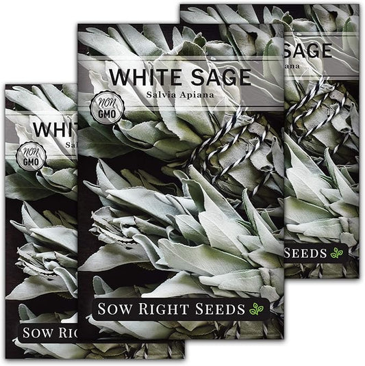 Sow Right Seeds - White Sage Seed for Planting - Non-GMO Heirloom Packet with Instructions for Planting and Growing a Home Herb Garden - Indoors or Outdoors - Make Your Own Herbal Incense (3)