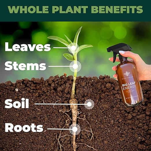 Big Leaf Energy : 4 OZ Trial Size : Ready-to-Use Spray for Plant Wellness : Organic Leaf Shine and Bio Protectant