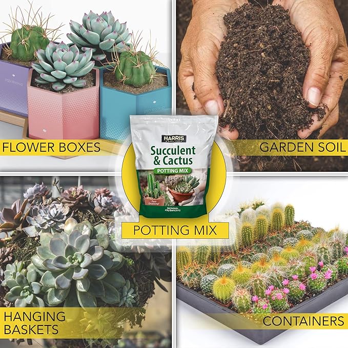 Harris Premium Succulent and Cactus Potting Soil Mix, Fast Draining with Added Nutrients, 4 Quarts