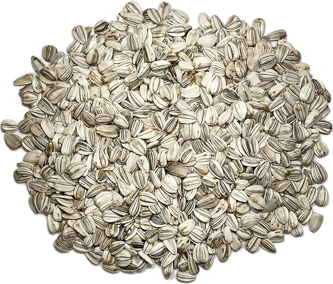 Seed Needs, 600+ Sunflower Seeds Mammoth Grey (Helianthus annuus, Non-GMO) Large Resealable Pouch, Tall Growing Sun Flowers, Flower Seeds Produce Large Heirloom Sunflowers, Great for Gardens - Bulk
