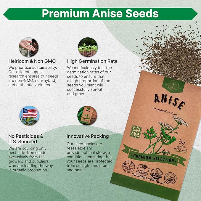 Anise Seeds Pack 5G - Over 1800 Non-GMO Heirloom Anise Seeds for Planting Herbs in Individual Seed Packet, Herbs Seeds for Planting Home Garden Indoor & Outdoor Gardening