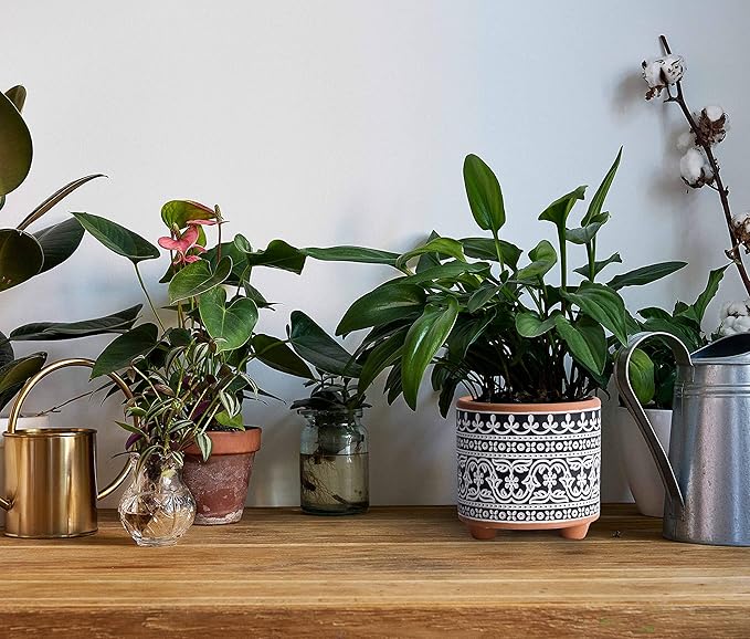 D'vine Dev Set of 2 Terracotta Planter Pots, 4.4 Inch & 6.4 Inch, Wave Pattern Plants Pot with Drainage Hole, Terracotta/Black, 31-953-F-2