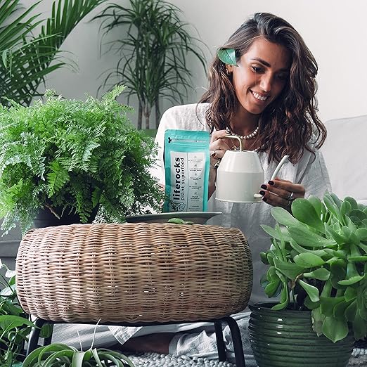 Liferocks Plant food for house and outdoor plants - used potting mix or a standalone soil – works as effective plans fertilizer herb garden