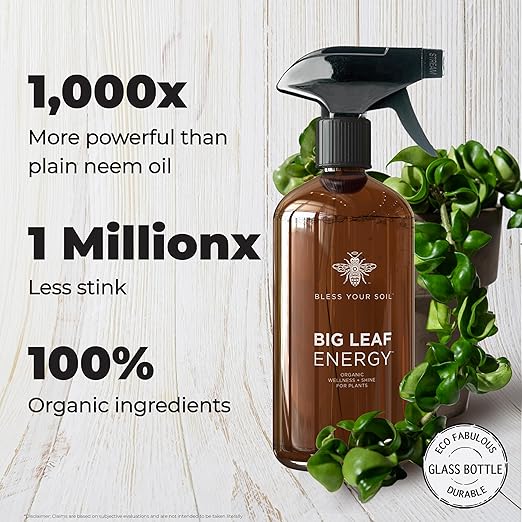 Big Leaf Energy : RTU Wellness Spray for Indoor Plants : Organic Neem Oil + Essential Oils (16OZ, Glass Bottle)
