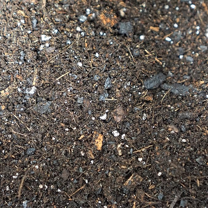 Liqui-Dirt Natural Potting Soil Bio-Organic Mix for Indoor & Outdoor Plants - Ideal for Monstera, Succulents, Orchids, Cactus, and More
