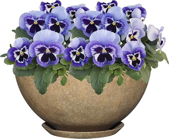 Classic Home and Garden Premiere Collection Planter, Rosie 10", Earth