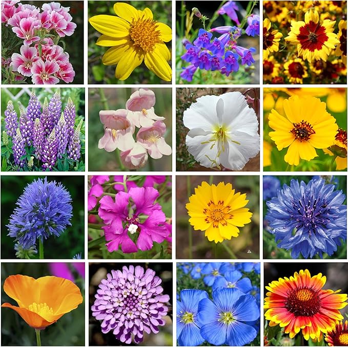 GevaGrow on the Go Seed Shaker - Western Wildflower Seeds Regional Mix - Organic, Non-GMO - 100% Pure Seed - 18 Different Wildflowers Seeds of Annual and Perennial, 2oz