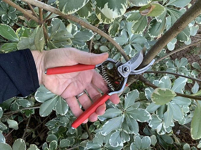 Corona BP15180 Forged Steel ClassicCUT Bypass Hand Pruner - 1 inch Cut Capacity Stem and Branch Garden Shears, Red
