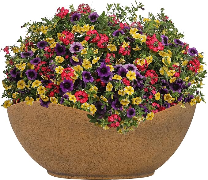 Classic Home and Garden Arc Pot 12" - Georgia Clay