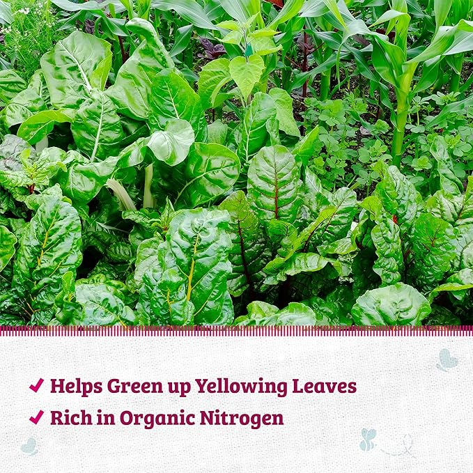 Back to the Roots 100% Organic Blood Meal | Made in The USA | Premium Nutrition for Indoor and Outdoor Plants