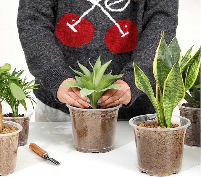 60 Pack 6 Inch Clear Nursery Pots with Drainage Holes, Transparent Plastic Pots for Plants, Reinforced Seed Starter Pots Garden Pots Flower Pots Come with 50pcs Plant Labels