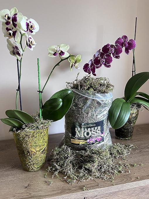 Organic Green Sphagnum Moss for Orchids, Indoor and Outdoor Plants - Dried for Decorative Gardening (Medium Pack - 5 litres / 250 gr / 18 oz)