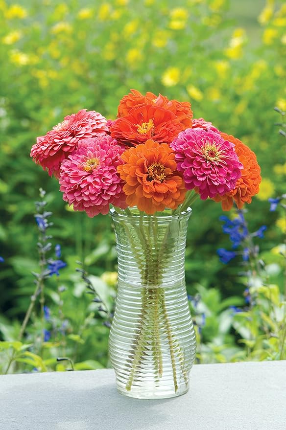 Burpee State Fair Mix Zinnia Seed Tape 50 per tape