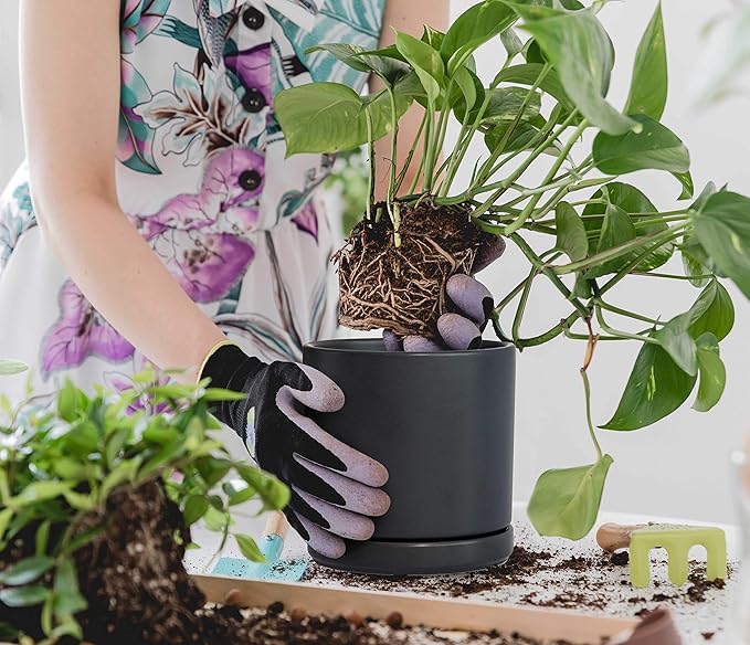 D'vine Dev Set of 2 Plants Pots, 6 Inch Ceramic Planter Pot for Plants with Drainage Hole and Saucer, Black, 94-V-C-2