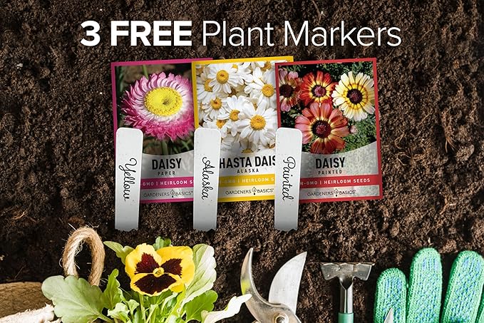 Gardeners Basics, Daisy Seeds for Planting Outdoors Flower Seeds (3 Variety Pack) Alaska Shasta Daisy, Painted Daisy, Yellow Daisy Varieties for Butterflies, Bees, Pollinators Wildflower Seed