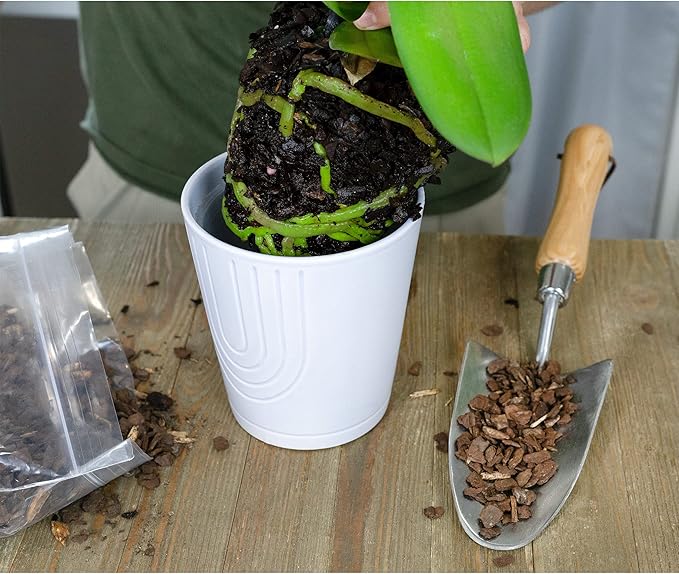 100% Natural Pine Bark Mulch Nuggets (4 Quarts), Small Mulch Chips for Indoor/Outdoor Container Gardening, Ideal for Soil Supplement, Houseplant Mulch, and Terrariums