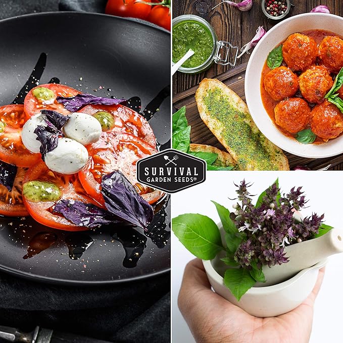 Survival Garden Seeds - Thai Basil Seed for Planting - Packet with Instructions to Plant and Grow Asian Basil Indoors or Outdoors in Your Home Vegetable Garden - Non-GMO Heirloom Variety - 2 Pack