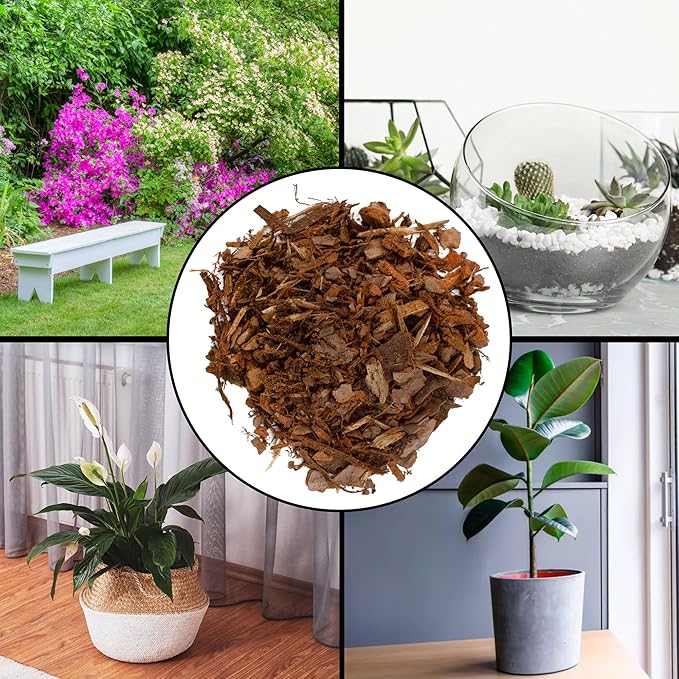 100% Natural Pine Bark Mulch Nuggets (12 Quarts), Small Mulch Chips for Indoor/Outdoor Container Gardening, Ideal for Soil Supplement, Houseplant Mulch, and Terrariums