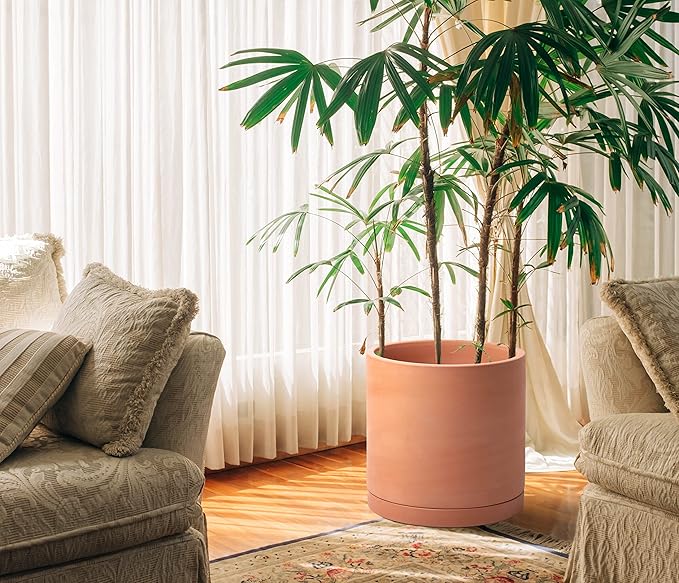 D'vine Dev X-Large 12 Inch Terracotta Plant Pot with Drainage Hole and Saucer, Round Cylinder Planter Pot for Indoor Plants, 40-X-A-6