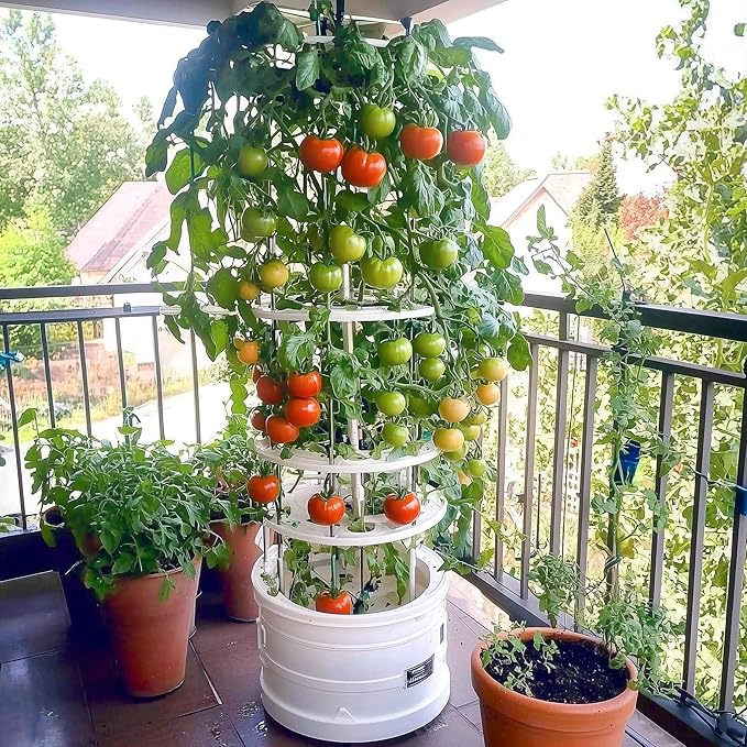 1,500+ Tomato Seeds, Heirloom Vegetable Seed for Planting Indoor Outdoor, 10 Varieties Salad Tomato Seeds Garden Hydroponic Kit, Non-GMO Home Hydroponic Fresh Food Veggie Supply