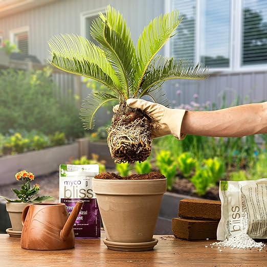 Myco Bliss Powder (5lbs) - Mycorrhizal Fungi for Soil - 5 Strain Mycorrhizal Inoculant with 1000 Propagules Per Gram - Highly Concentrated Mycorrhizae for Plants, Potting Soil, & Garden Soil