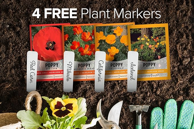 Poppy Seeds for Planting Outdoors Flower Seeds (4 Variety Pack) Poppies Iceland, California, California Mikado and Red Corn Varieties for Bees, Pollinators Wildflower Seed by Gardeners Basics